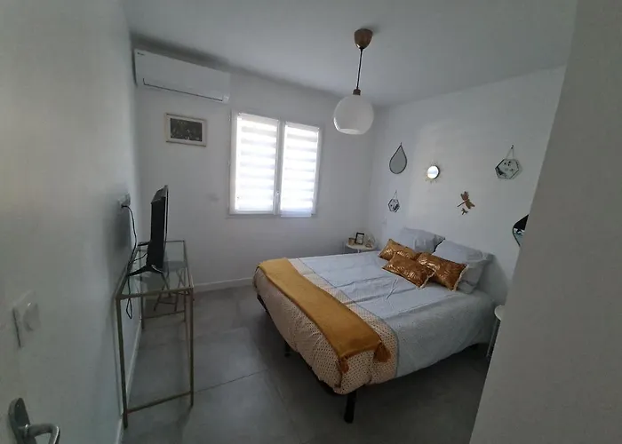 Appartement Location 