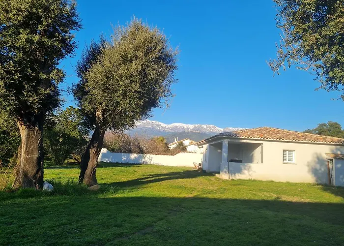 Appartement Location 